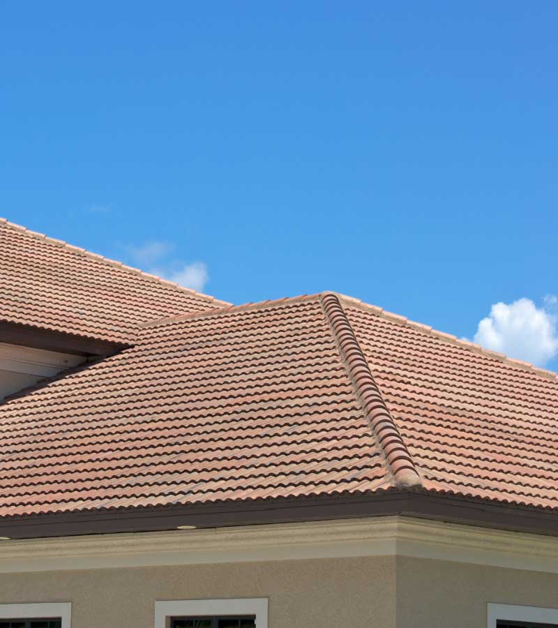 Shingles florida